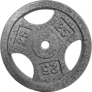 Cast Iron Weight Plates Set 1 Inch, 2.5 Lbs/5 Lbs/10 Lbs/25 Lbs Bumper Plates for Home Gym, Strength Training & Weightlifting