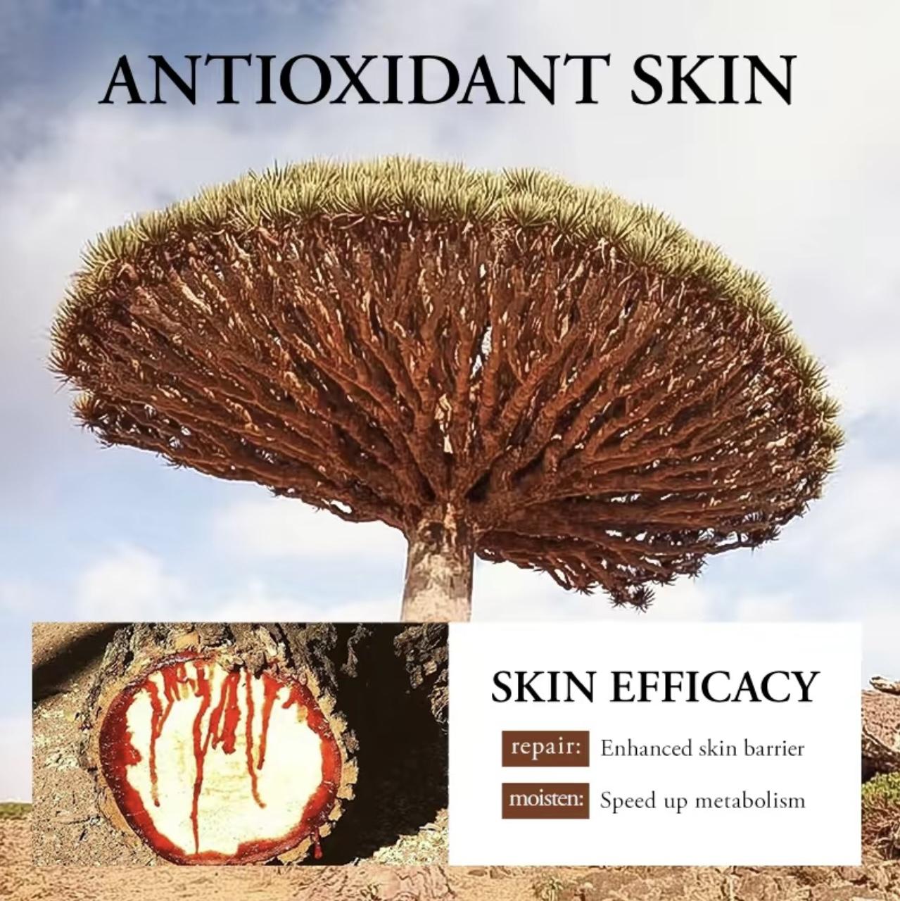 3 Pcs Dragon Blood Cream With Reishi & Seaweed Extract, Lightweight Texture Face Moisturizer For Deep Hydration, Plumps And Softens Skin, Suitable For Daily Skincare Routine