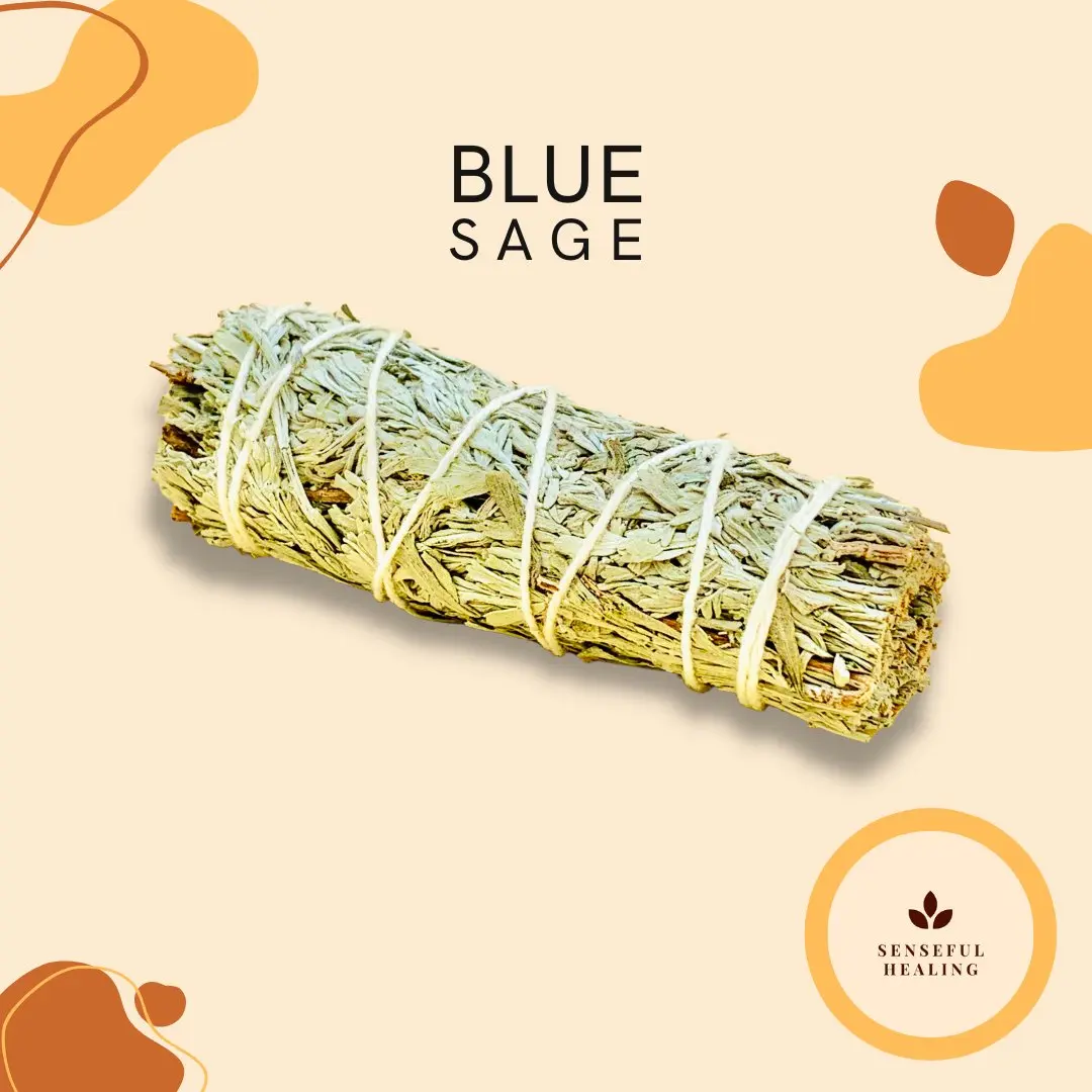 Blue Sage Incense Smudging Stick Bundle, 4-in Home Fragrance Set