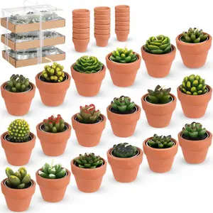 18 count Succulent Cactus Tealight Candles   Lights  Shower  Candle  with Mini Terracotta Clay Candle Holders for  Birthday Christmas Wedding Party(Cute)