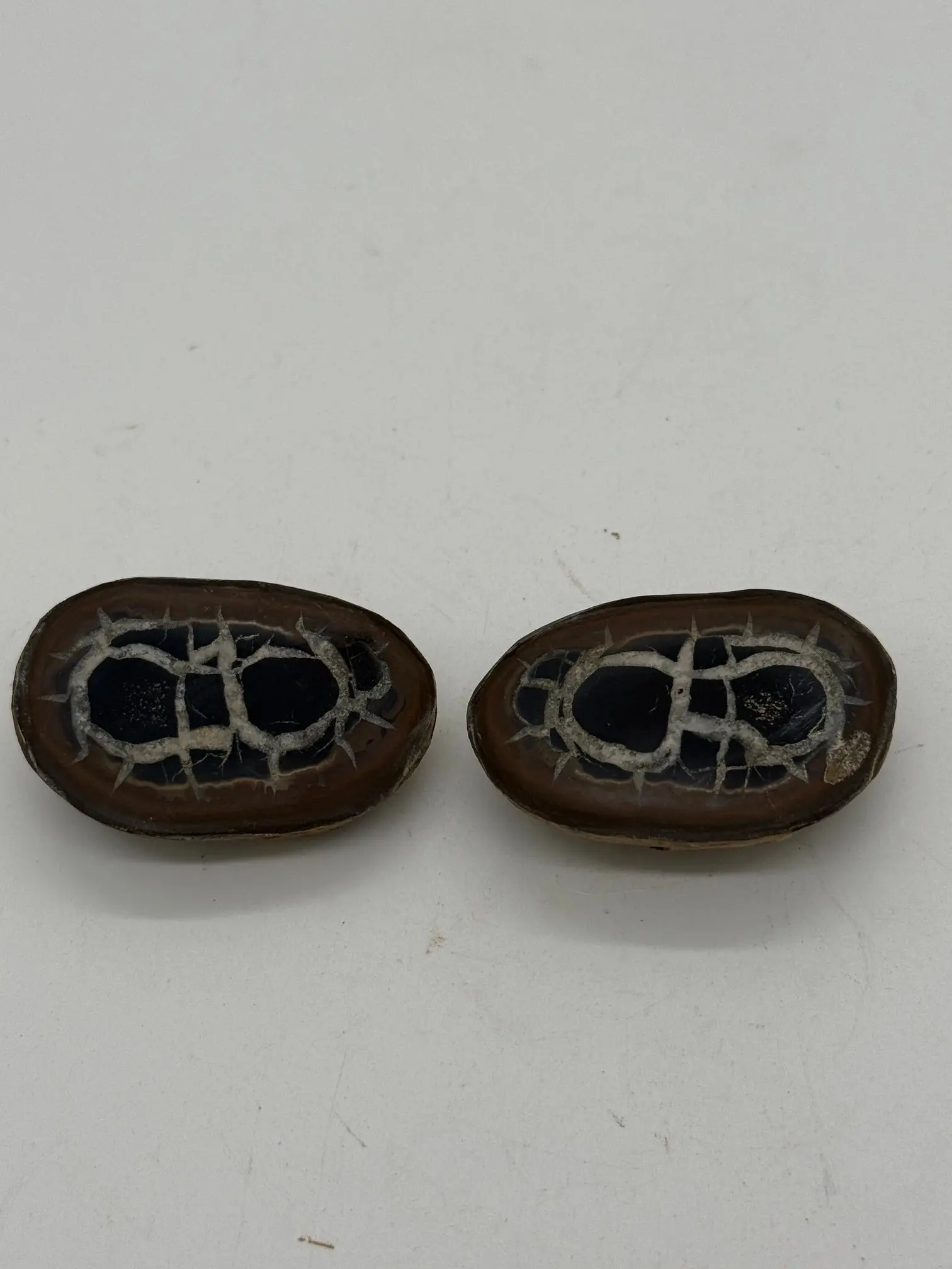 POLISHED SEPTARIAN NODULE HALVES #4 NATURAL CRYSTAL