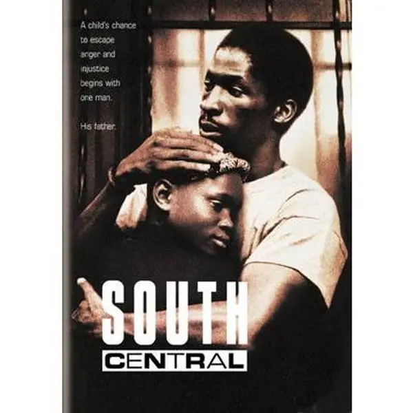 USED Book - South Central (DVD) - english