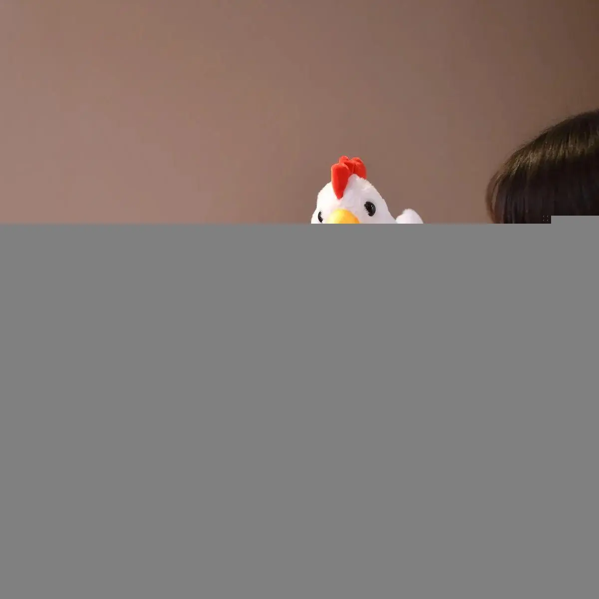 30/40CM Cute Big Rooster Stuffed Plush Toy Children's Sleeping Doll Children's Christmas Gift Pet Decoration
