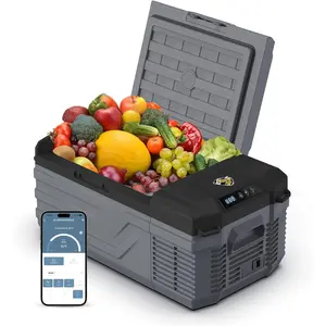 12 Volt  Refrigerator, 16 Quart Electric Cooler, Portable  Fridge for Outdoor Camping Travel, 12V/24V DC 110~240 Volt AC Refrigerator for  RV Home Office,-4?-68?