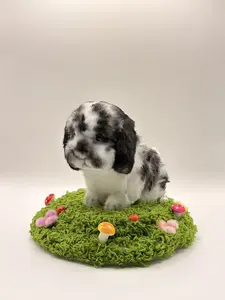 Claim on live Cici - Hand-Crafted Cuddly Teddy Bear & Stuffed Animal - DIY Crafts - Adorable Handmade Toys for Kids 3+