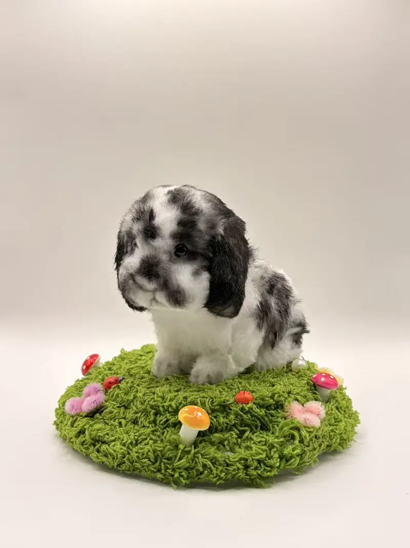 Claim on live Cici - Hand-Crafted Cuddly Teddy Bear & Stuffed Animal - DIY Crafts - Adorable Handmade Toys for Kids 3+