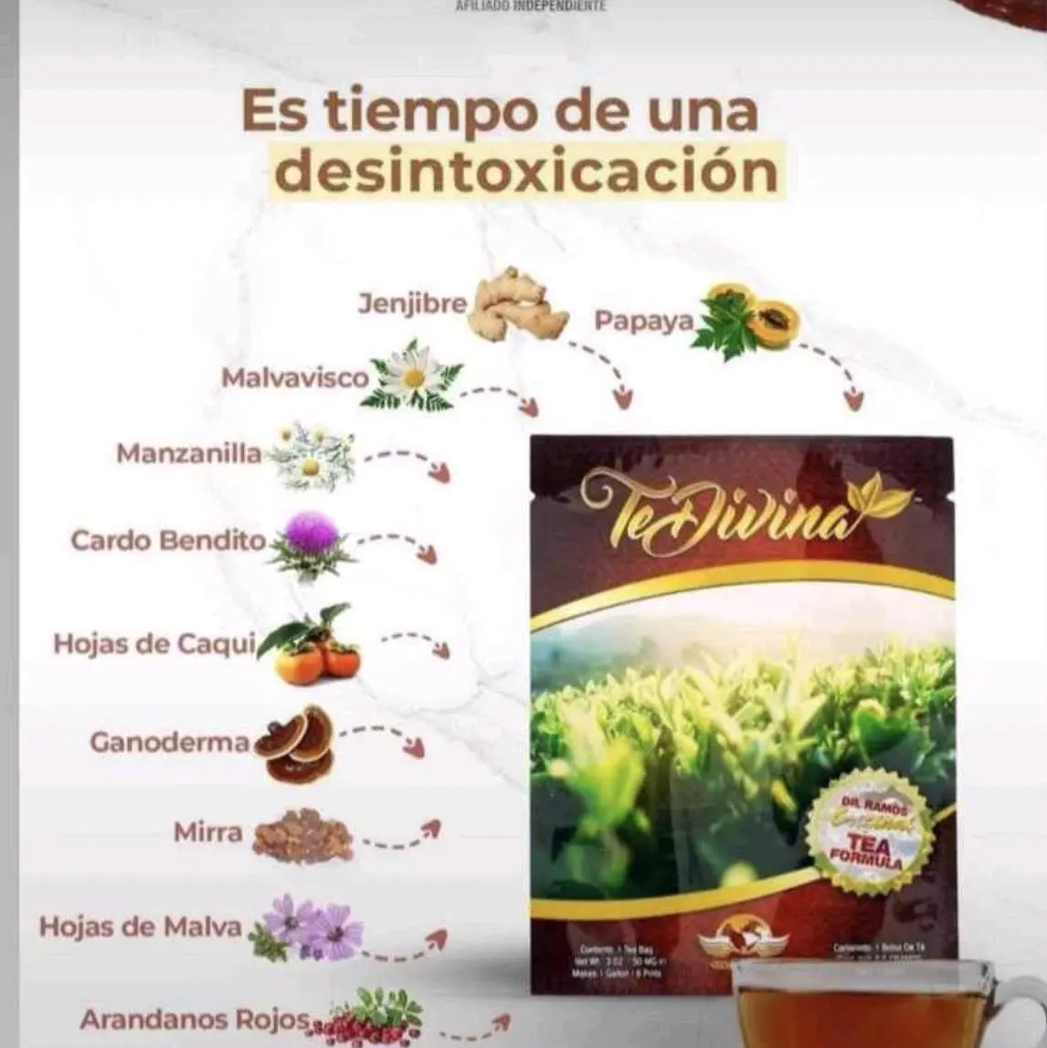 Te Divina orgánic 1 bag caffeine free supplement herbal tea Te Divina orgánic 1 bag caffeine free supplement herbal tea