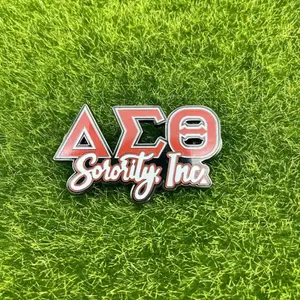 Delta Sigma Theta Greek Letters Pin