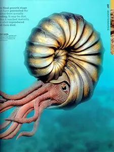 USED-Dinosaur ? The Definitive Visual Guide to Prehistoric Animals by Dr. Douglas Palmer (Paperback)