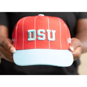Delaware State Striped Cap