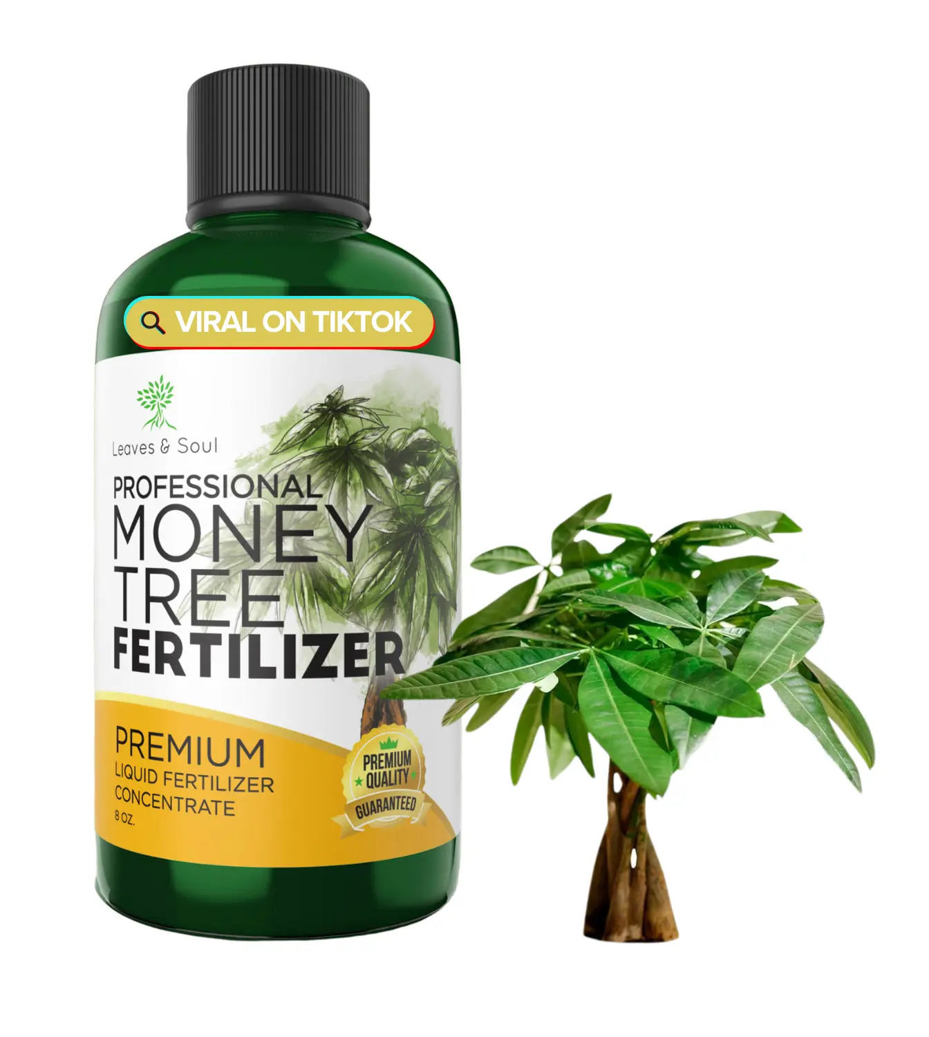 Professional Liquid Money Tree Fertilizer Professional Liquid Money Tree Fertilizer