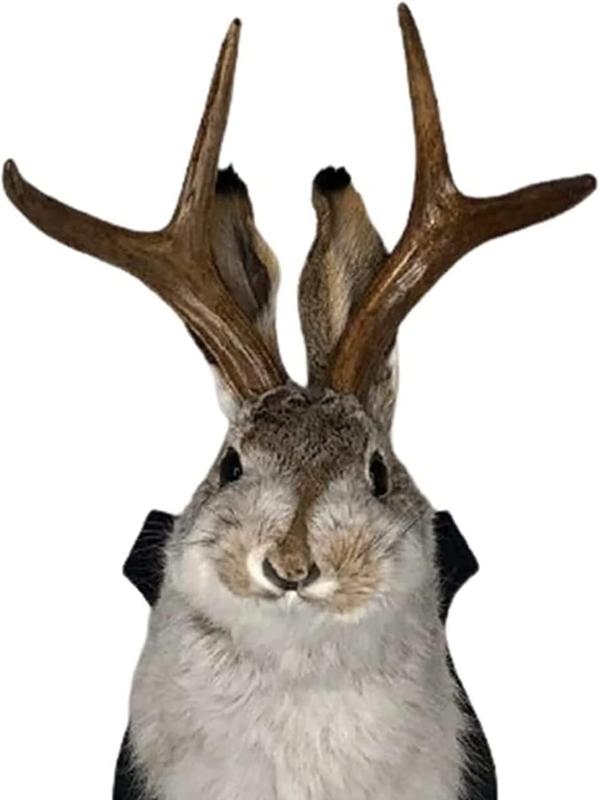 YXMKJOS Jackalope Mount Resin Deer Head Wall Decor for Home Wall Decoration Unique Animal Wall Mount