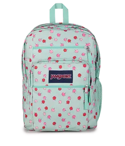 JanSport Unisex Big Student Backpack