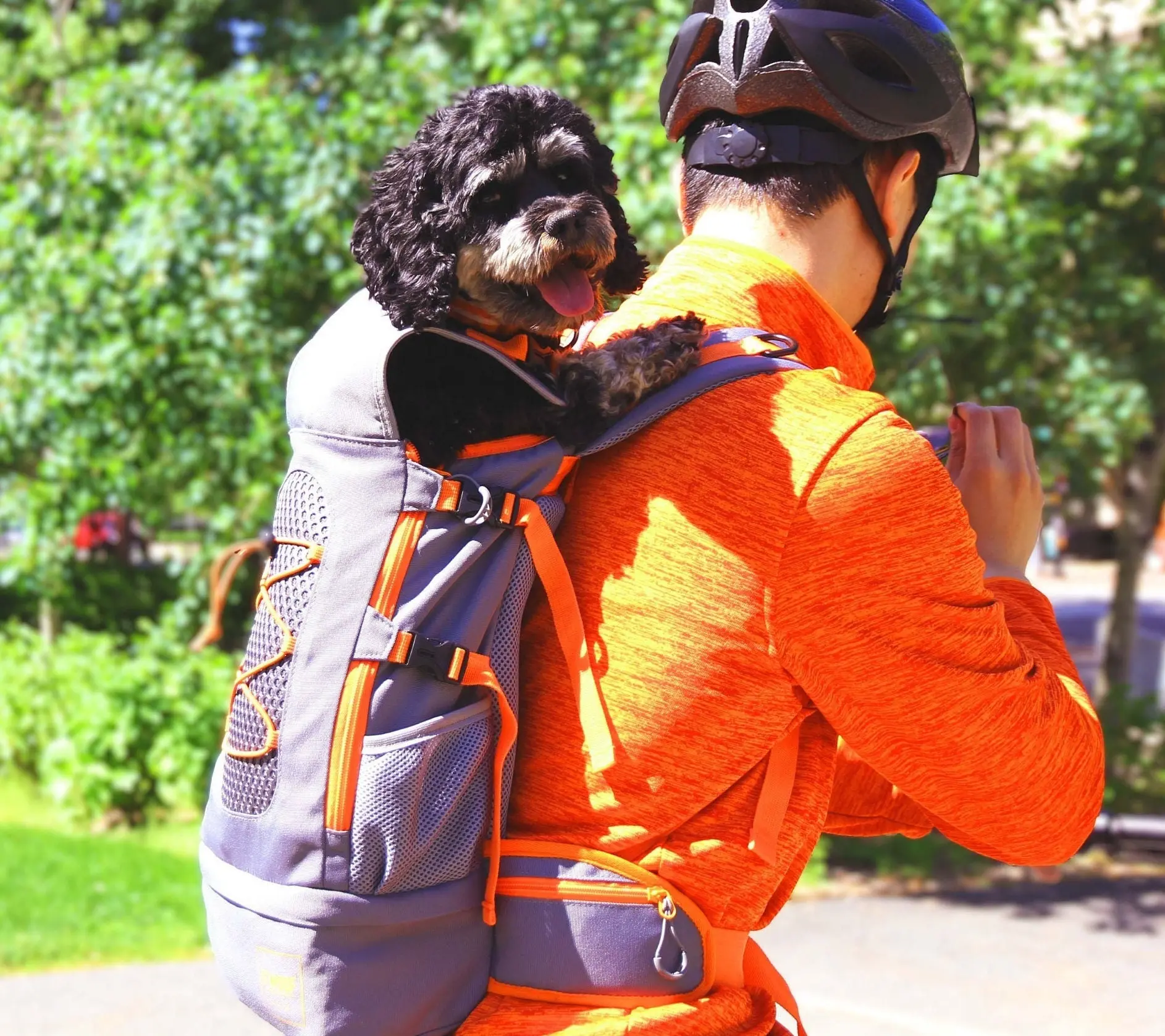 S'woof Dog Backpack for Biking, Hiking, Front Facing Puppy Carrier for Travel for Small Medium Pet, Sport Sack for K9 with Extra Padding