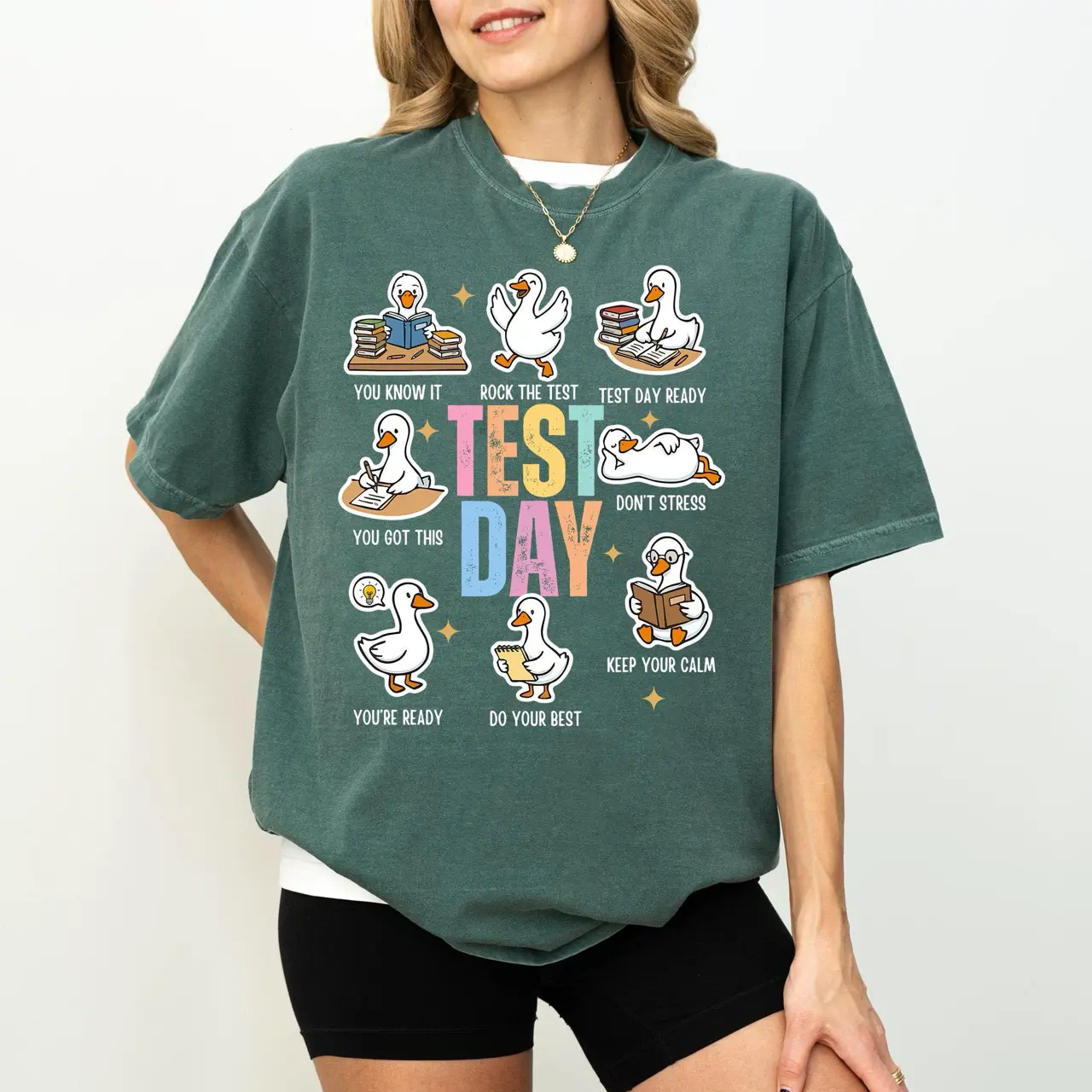 Comfort Colors Test Day You Got This Shirt, Teacher Testing Tee, State Testing Shirt, Motivational Teacher Shirt, School Testing Day Tee