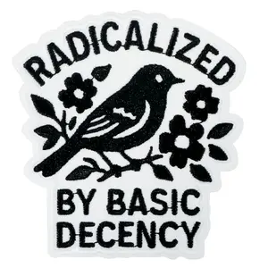Radicalized by Basic Decency Embroidered Patch, Lettered Embroidery, Back Adhesive Iron-On, Suitable for Clothes Jackets Hats Accessories, 1 Piece