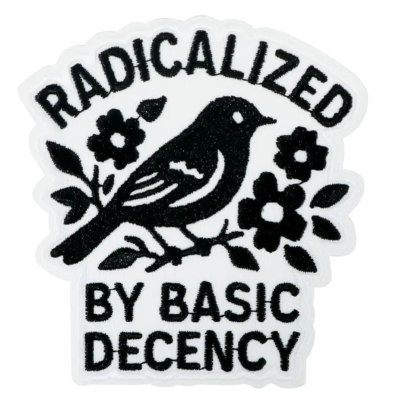 Radicalized by Basic Decency Embroidered Patch, Embroidery Patches, Unique Embroidery, Lettered Embroidery, Back Adhesive Iron-On, Suitable for Clothes Jackets Hats Accessories, 1 Piece