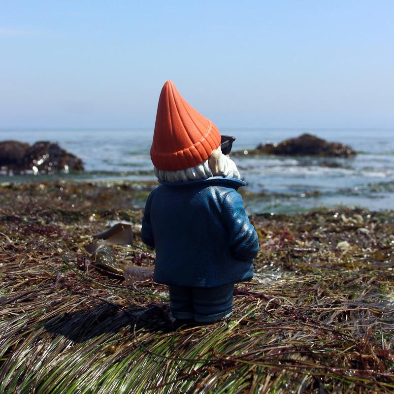 Longshore Gnüm Classic