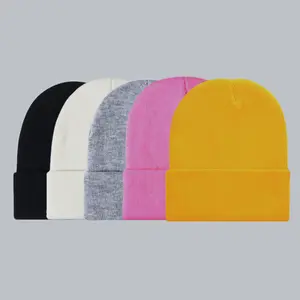 Street Fashion Knitted Beanie Hat, Classic Solid Color, Warm for Autumn and Winter, Unisex