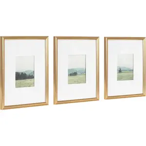 Adlynn Decorative Rectangle Watercolor Framed Art Set of 3; 11 x 14 matted to 5 x 7; Gold; Vintage-Piece Framed Wall Art for Gallery Wall Frame Set in Living Room Wall