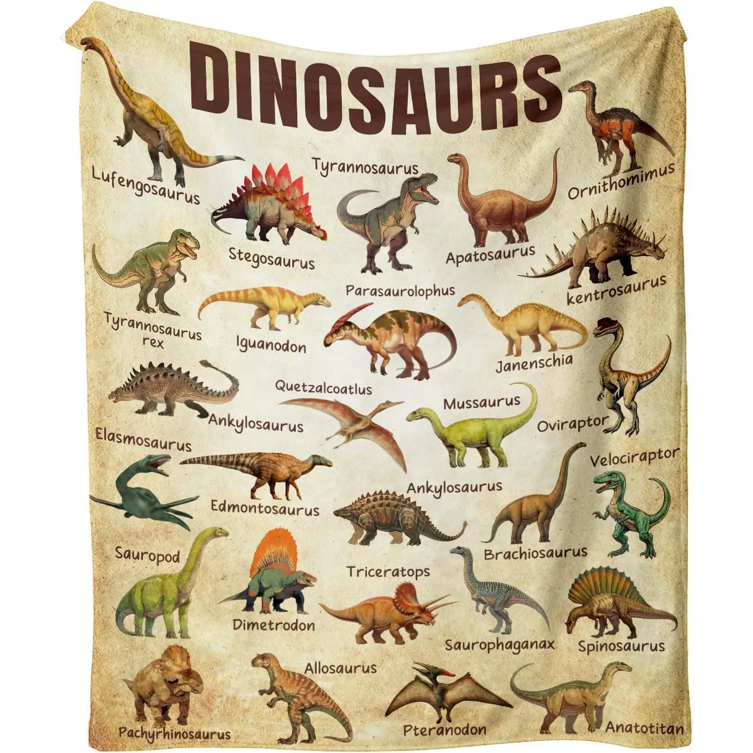 Kids Dinosaur Blanket Jurassic World Dino Throw Blanket Ultra Soft Skin Friendly for Sofa Bed Home Room Decor Educational Gift for Dinosaur Lovers Boys Girls 50x60in One Sided Printed with Plain White Back Halloween Thanksgiving Gift