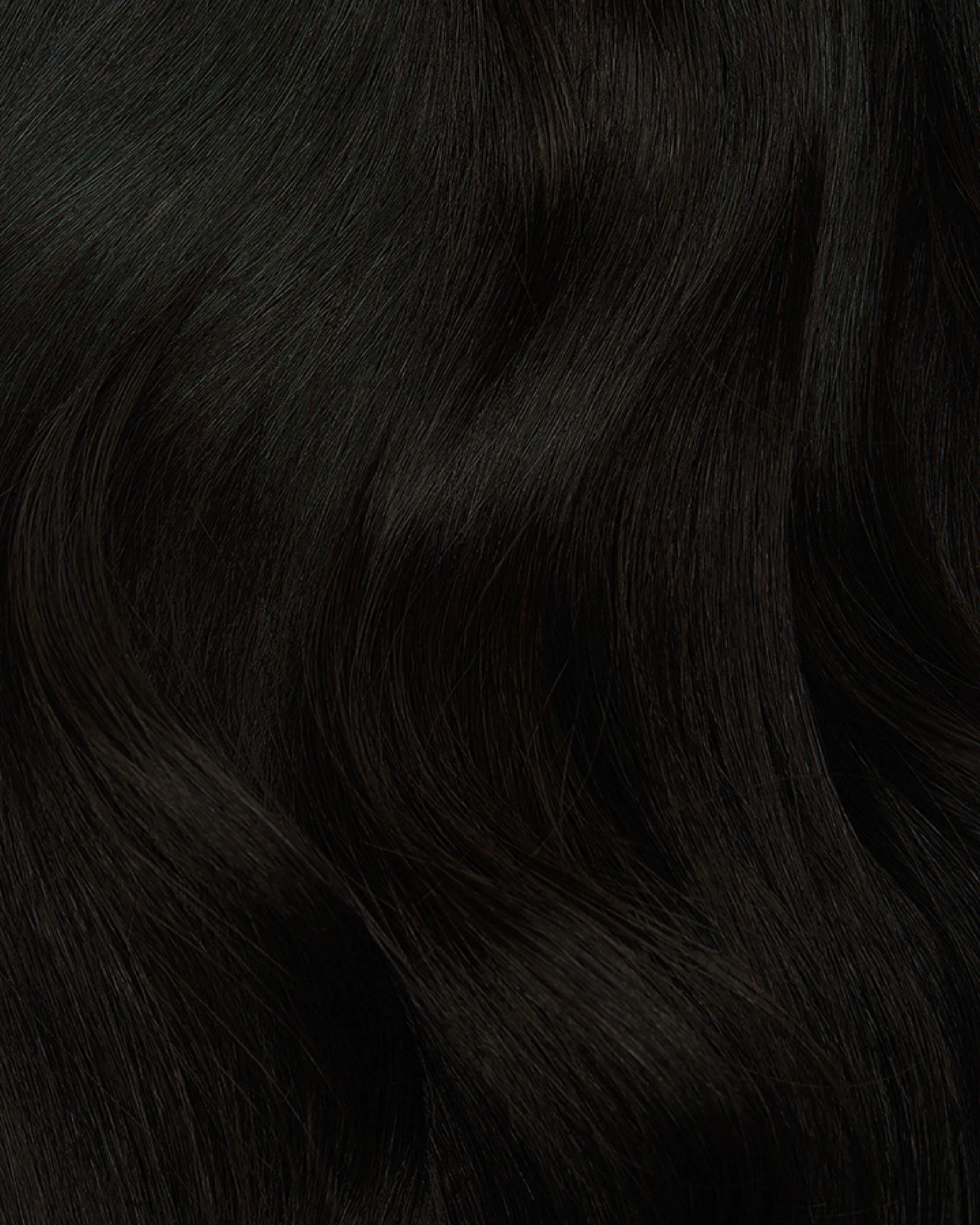 Soft Black #1B Halo