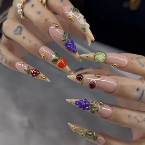 Luxury Fruit Press On Nails Long Stiletto  Handmade 3D Cherry Strawberry Grape Kiwi Nail Art  Glossy Nude Reusable Glue On Acrylic False Nails for Summer Vacation & Women
