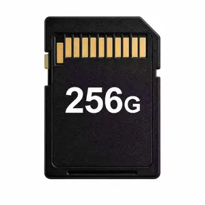 Micro SD Card 256GB 1 Pack , Memory Card for Older Camera, Phone, PDA, 3D Printer  - Suitable for Laptop,Black
