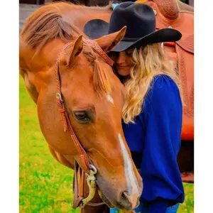 Basic guide to horses and what you need for riding lessons
