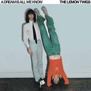 The Lemon Twigs - A Dream Is All We Know  [VINYL RECORD - LP]