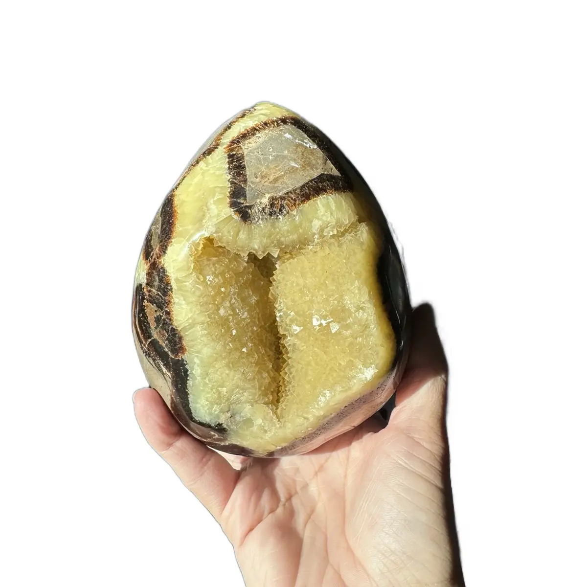 Septarian crystal egg