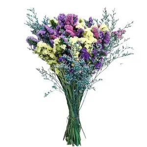 Forget Me Not & Valentine Dried Flowers Bundles,1 Bunches,DIY Floral Arrangement,Valentines Day,Wedding,Home Decor Boho