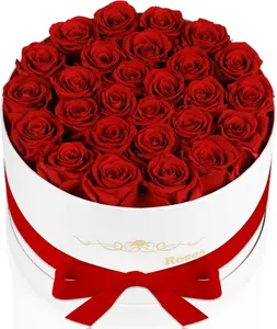 27  in a Box, Mothers Day Rose, Preserved  for Her,  for Delivery Birthday Gifts for Women (Red)