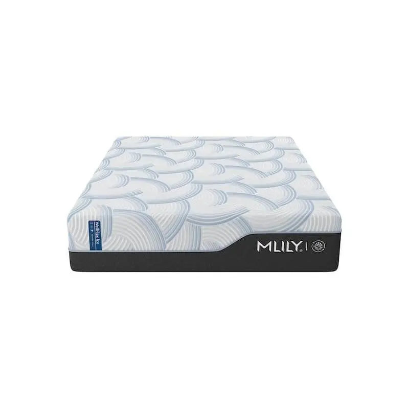 Mlily Wellflex ICE 3.0 Plusher