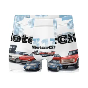 Detroit Motor City 313 Boxer Briefs
