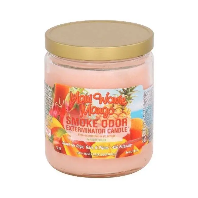 SMOKE ODOR EXTERMINATOR Non-Toxic Household Candle - 13oz Jar Variety, Assorted Scents, Smoke Removal, Up to 70 Hours Burn Time, Home Decor Supply, Wax