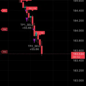 Telegram Signals Hot for Forex Trading on iPhones & PCs Clean Signals for Accurate Decisions Book Magazine and Audio