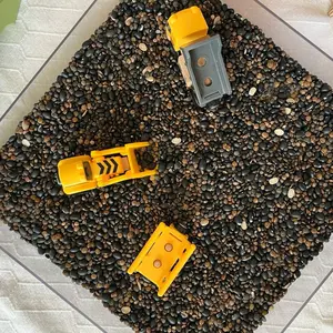Soil Sensory Bin Filler