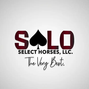 Solo Select Horses