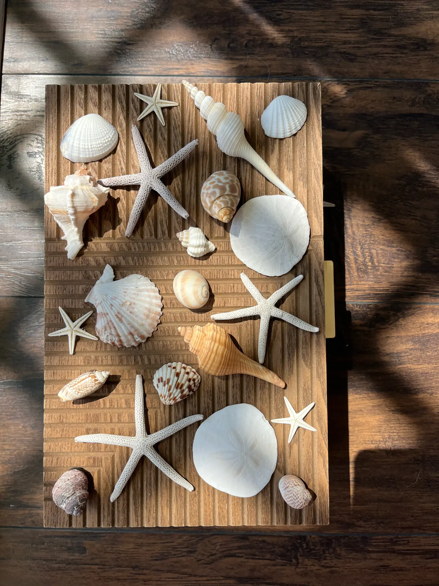 Coastal Shell Refrigerator Magnets - Handcrafted Decorative Seashell & Starfish Design for Home Organization Kitchen Decor