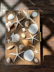 Coastal Shell Refrigerator Magnets - Handcrafted Decorative Seashell & Starfish Design for Home Organization Kitchen Decor