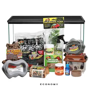 COMPLETE Crocodile Skink Setup