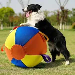 Multi-Color Dog Ball Toy with Air Pump Outdoor Play & Training Toy for All Breeds, Interactive Tough Chewer, Durable Cartoon Design, Pet Exercise Gift