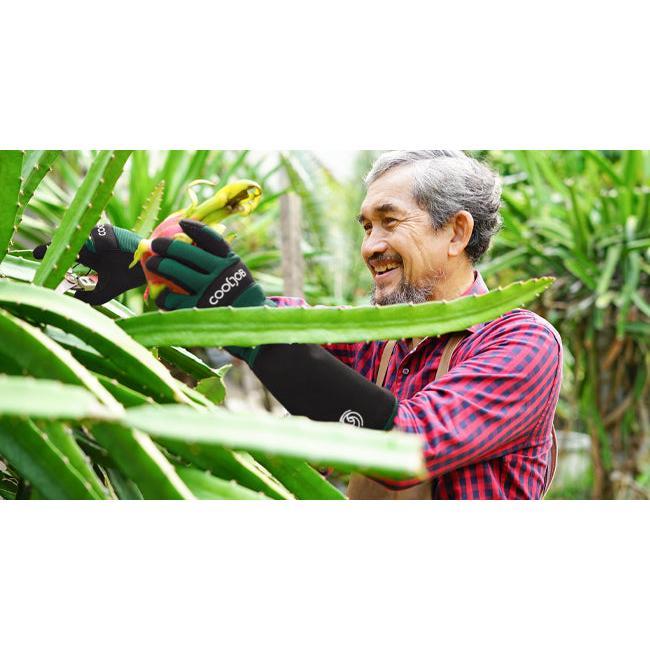 COOLJOB Thorn Proof Rose Pruning Garden Gloves, Longer Sleeve, Puncture Resistant (Green)