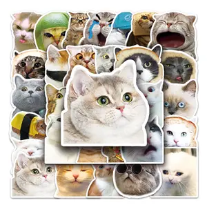 50pcs Cute Cat Stickers, Waterproof Durable Vinyl Stickers, Perfect for Phone Computer Tablet Luggage Water Bottle
