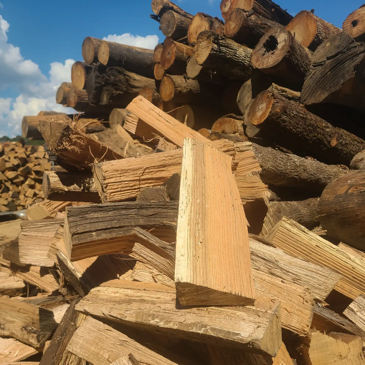 Red Oak - Cooking Wood by the Stick