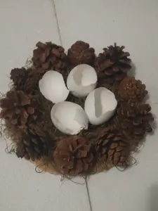 Natural Pinecone Egg Nest