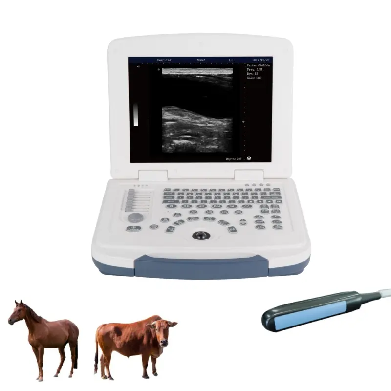 Dawei Compact Vet Ultrasonic Diagnostic Tool - Cattle and Horse Farm Animal Imaging Machine