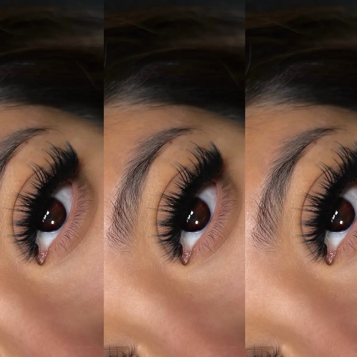 BLACK DARK MATTE PROFESSIONAL EYELASH EXTENSIONS
