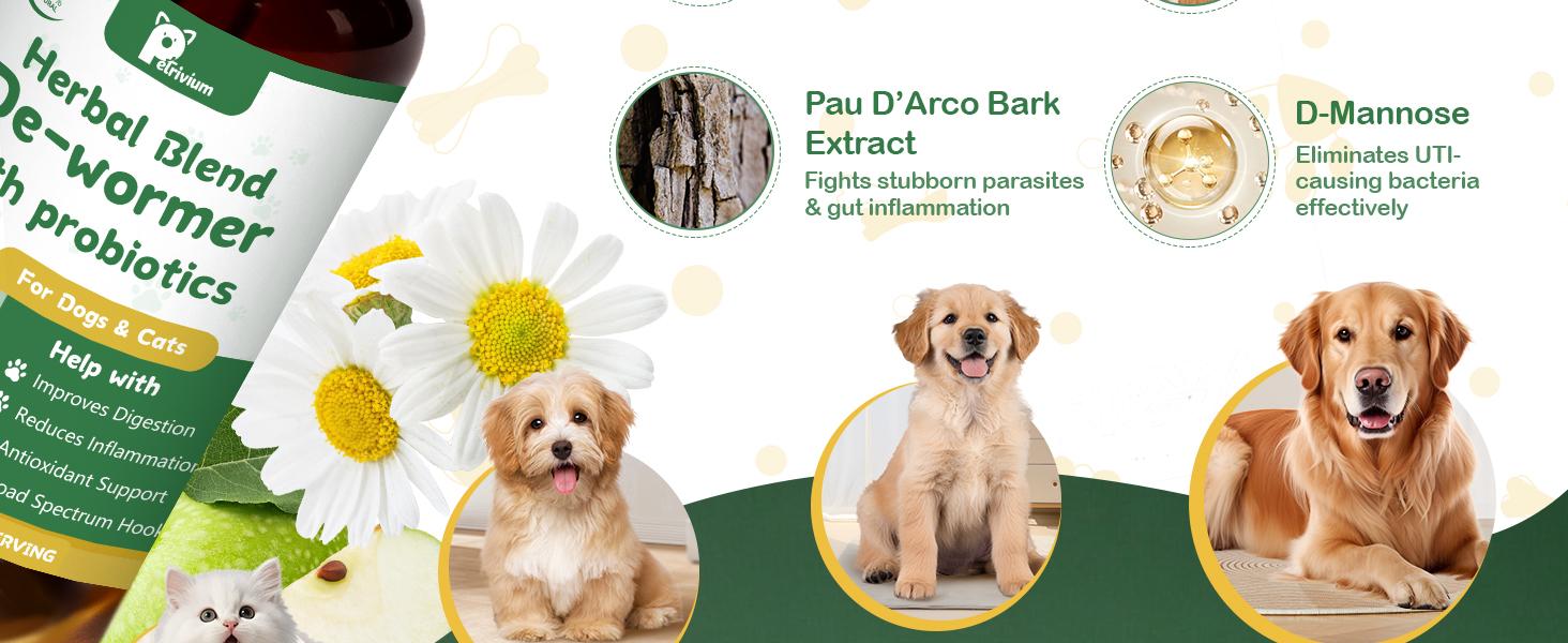 Petrivium Natural Intestinal Defense for Cats & Dogs Herbal Cleanse with Probiotic Triple Action Probiotics Supplement Drops for Gut Health Digestion Broad Spectrum Formula for All Ages and Breeds 2 Oz Petrivium Natural Intestinal Defense for Cats & Dogs Herbal Cleanse with Probiotic Triple Action Probiotics Supplement Drops for Gut Health Digestion Broad Spectrum Formula for All Ages and Breeds 2 Oz